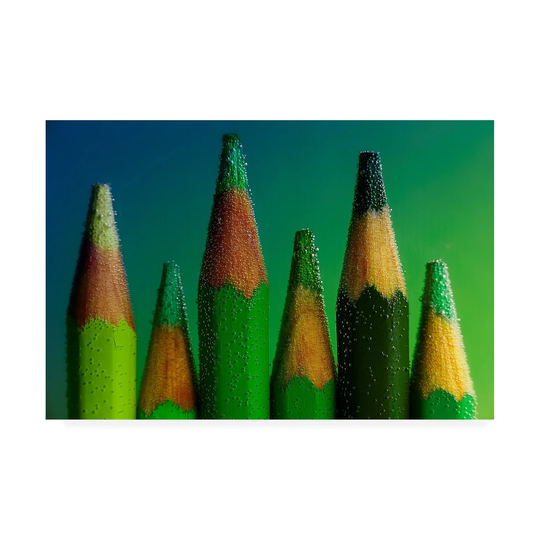 Aida Ianeva 'Green Pencils' Canvas Art