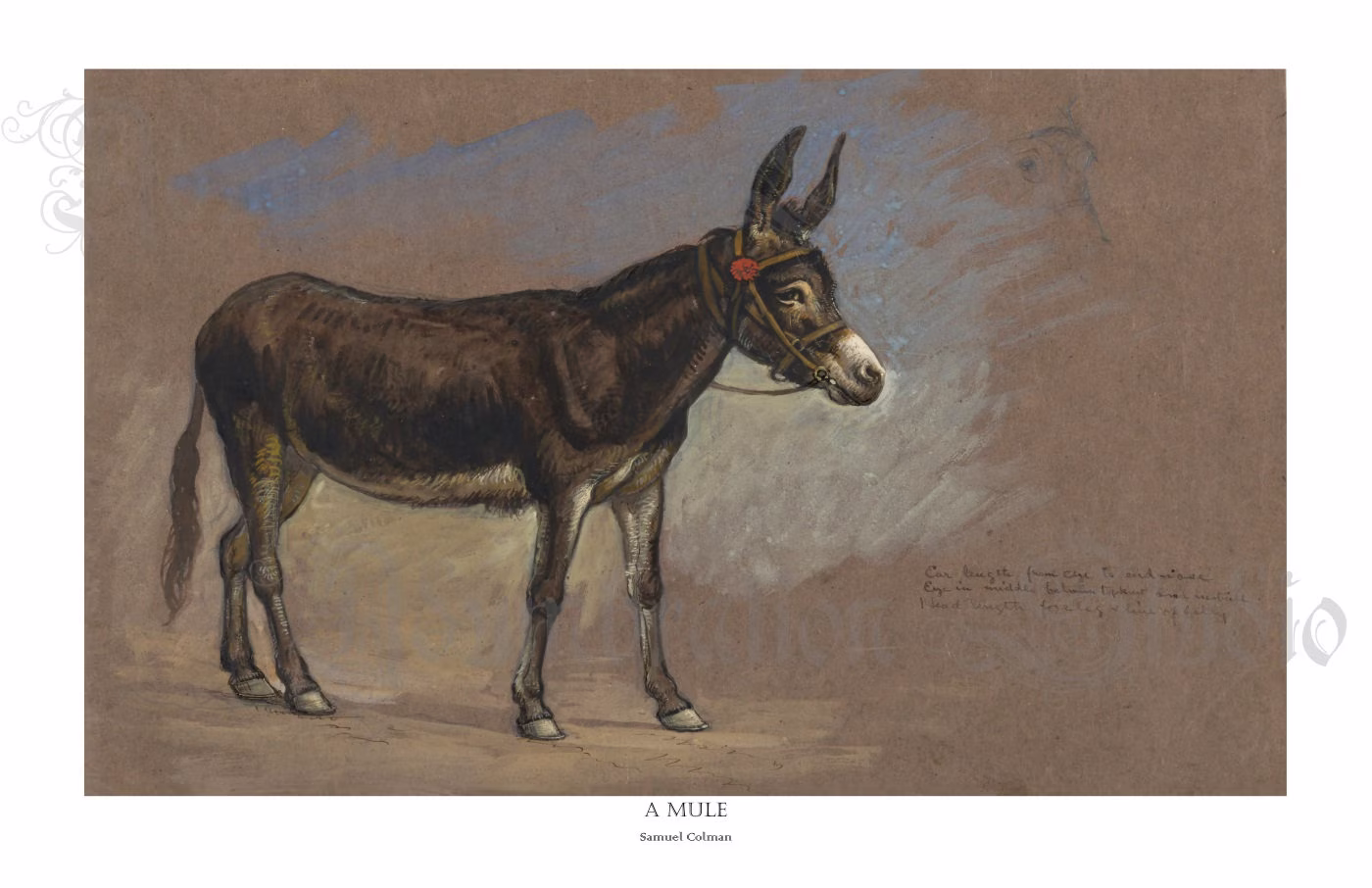 A Mule, Samuel Colman, Victorian Pencil Drawing & Gouache 1875, Equine Archival Print