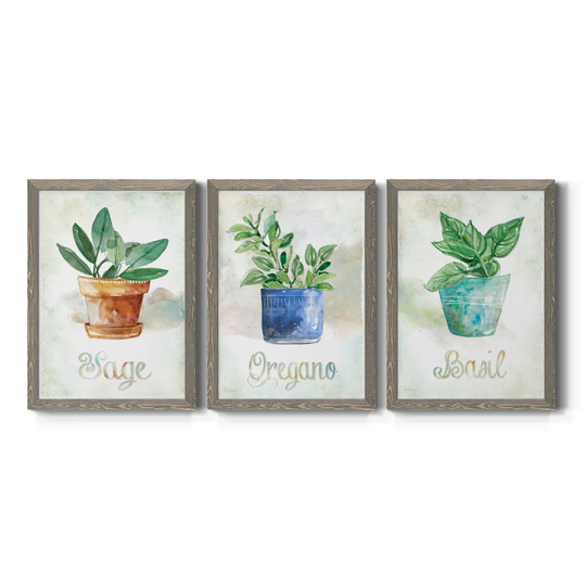 Potted Basil-Premium Framed Canvas - Ready to Hang - Multi-Color