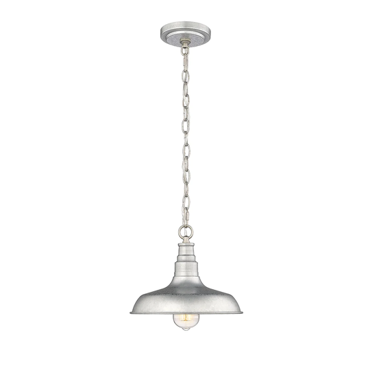 Millennium Lighting 1 Light Outdoor Pendant Light Fixture