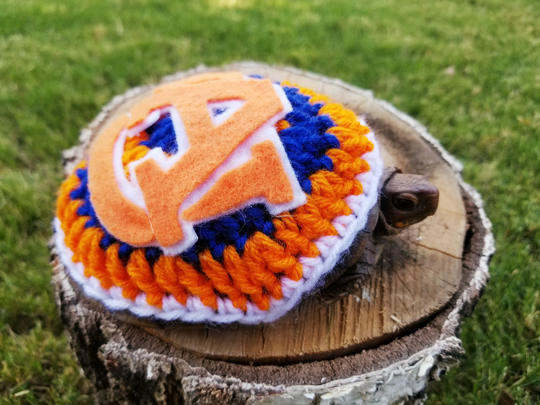 University Logo Inspired Costume For Turtles/ Tortoises
