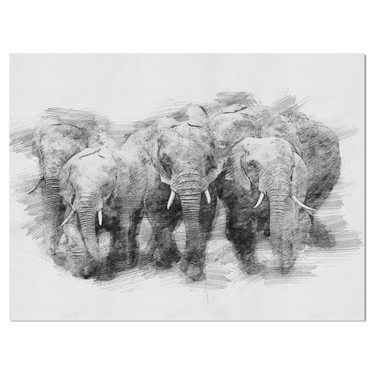 Designart 'Black and White Elephant in Pencil Sketch' Animals Print on Wrapped Canvas