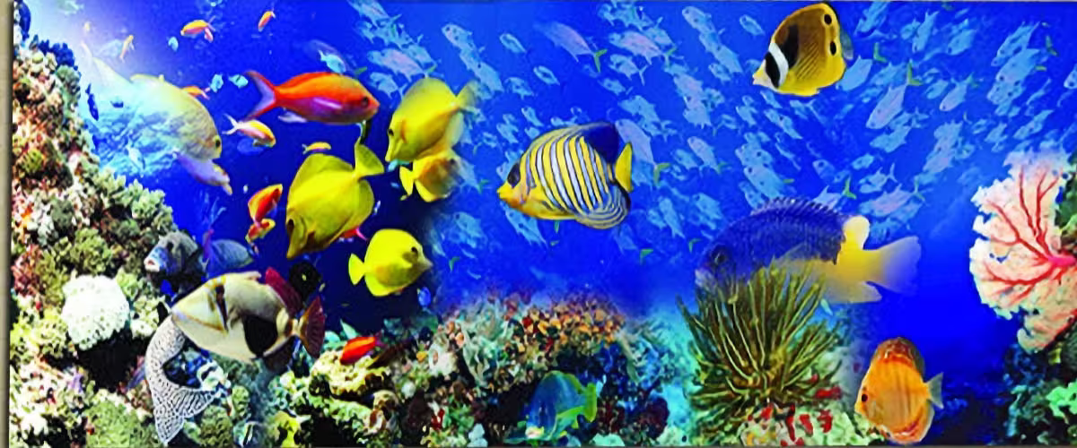 Large Horizonal Mural "Fish Tank" Diy 5D Diamond Painting Kit Full Round Drill Only