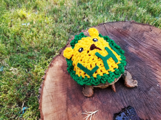 Lhc School Mascot Crochet Inspired Costume For Turtles/ Tortoises
