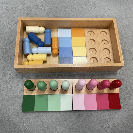 Montessori Color Sorting Pegs, Color Matching Toy, Resemblance Early Childhood Preschool Kids Educational Toy