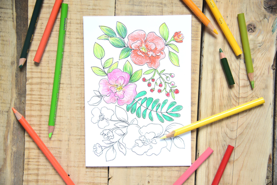 Set Of 6 - A7 Card Set -Whimsical Coloring Cards -Floral Color -Coloring For Adults -Everyday -Card