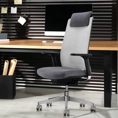 Ergonomic Mesh Back Classic Office Chair High Back with Adjustable Lumbar Support Armrests
