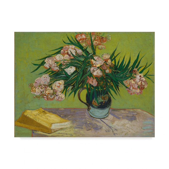 Vincent Van Gogh 'Oleanders' Canvas Art - Multi-color