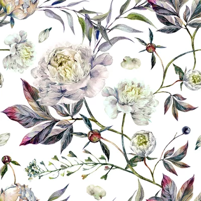 Nolte Peonies Flowers 10' L x 24" W Peel and Stick Wallpaper Roll