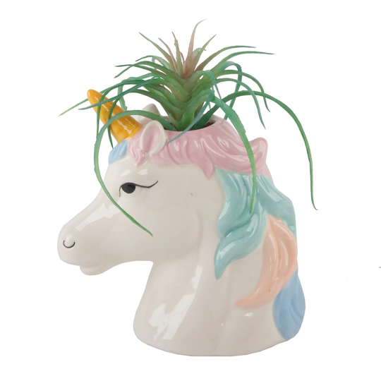 Succulent in 6" Tall Multi Color Ceramic Unicorn Pot - ONE-SIZE