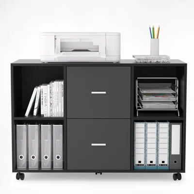 Linoel 2 - Drawer Filing Storage Cabinet