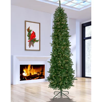 Lit Hudson Valley 9' Green Spruce Artificial Christmas Tree with 550 Clear/White Lights