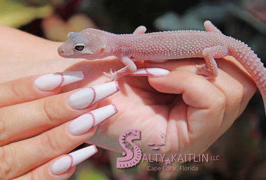 Barbie Girl Press On Gel Nails