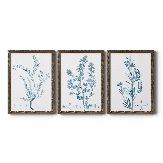 Antique Botanical in Blue VII-Premium Framed Canvas - Ready to Hang - Multi-Color