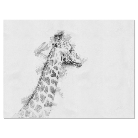 Designart 'Giraffe in Black And White Pencil Sketch' Sketch Animals Print on Wrapped Canvas on Wrapped Canvas