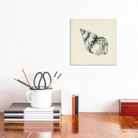 iCanvas "Seashell Pencil Sketch III" by Emma Caroline Canvas Print