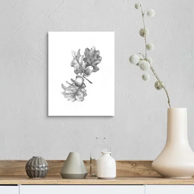 Oak Leaf Pencil Sketch II Canvas Wall Art