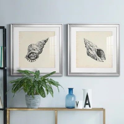Seashell Pencil Sketch I Seashell Pencil Sketch I - 2 Piece Picture Frame Print Set
