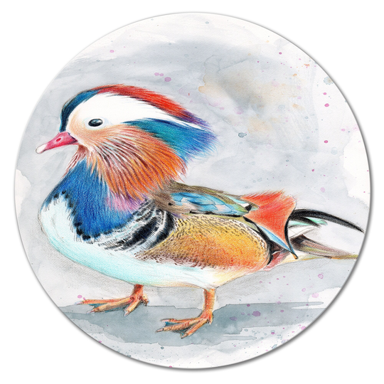 Designart 'Colorful Mandarin Duck' Traditional Metal Circle Wall Art