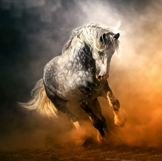 Beautiful Dappled Horse Diy 5D Diamond Painting Kit Full Square & Round Drill