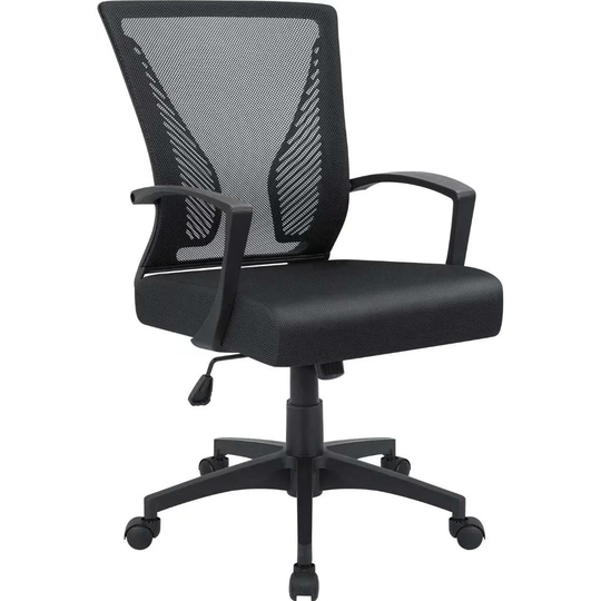 Homall Office Chair Ergonomic Desk Chair with Lumbar Support