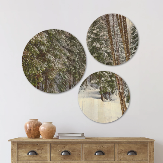 Designart 'Snowy Road in the Forest' Landscape Wood Wall Art Set of 3 Circles - Multi-Color