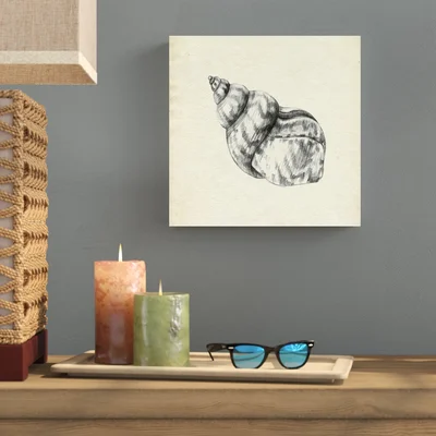Seashell Pencil Sketch III