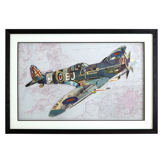 P-51 Mustang - Multi-Color