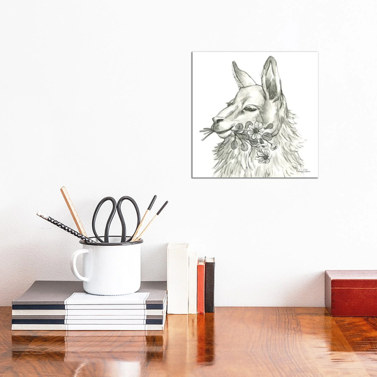 iCanvas "Watercolor Pencil Farm VII-Llama" by Kelsey Wilson Canvas Print