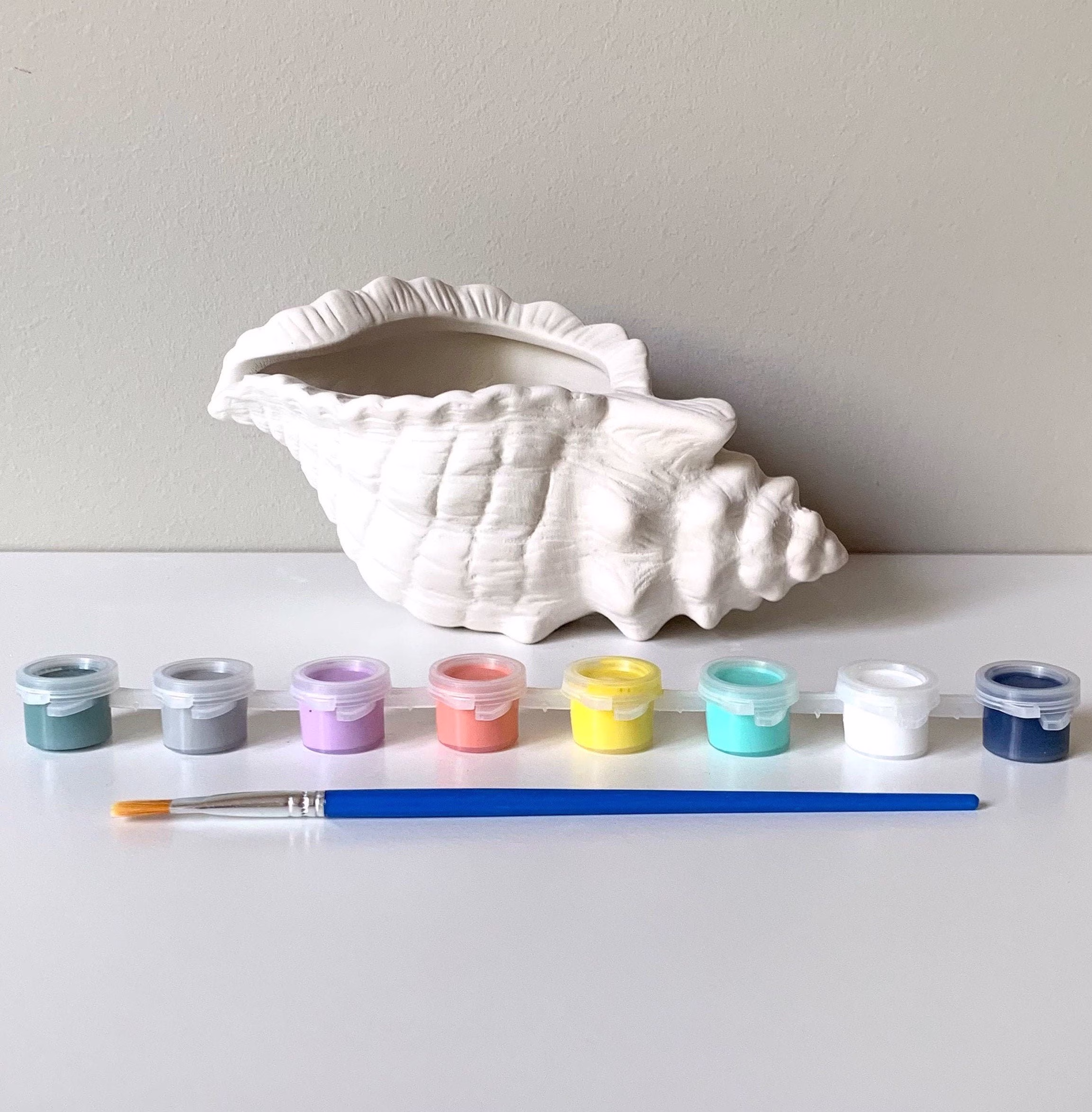 Diy Pottery Painting Kit, Succulent Planter, Ready-To-Paint Ceramic, Modern Planter At Home Pottery Conch Shell
