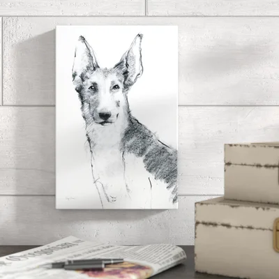 Franz Sitting Pretty by Avery Tillmon - Drawing Print on Canvas