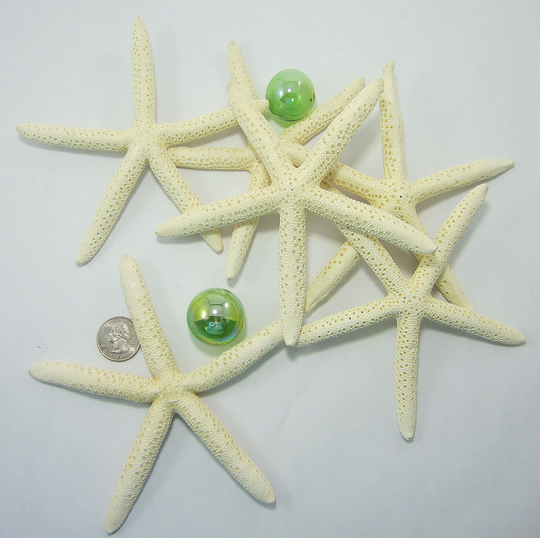 12Pc Beach Decor White Starfish, Large Nautical Finger Wedding Pencil 4-6"