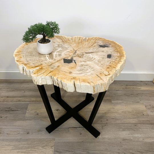 Petrified Wood Slice Table, Primitive Wood Live Edge Coffe Rustic Stone Slab Hand Crafted Table