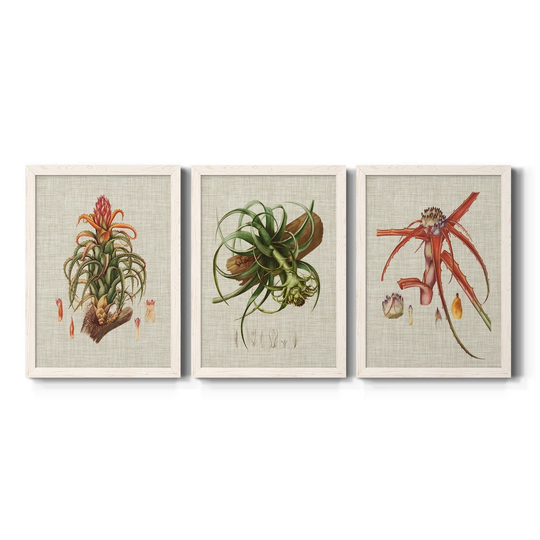 Elegant Tropicals IV-Premium Framed Canvas - Ready to Hang - Multi-Color