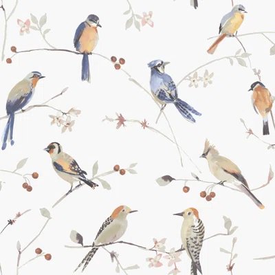 Aleks Birdsong Trail 33' L x 20.5" W Smooth Wallpaper Roll