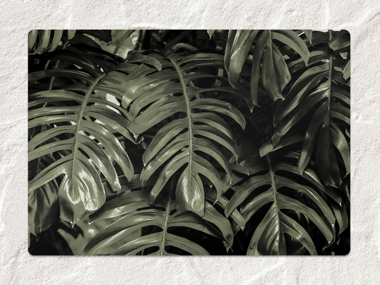 Green Banana Leafs Chair Mat, Vinyl Floor Black Protective Exotic Splat Office Decor, Decorative Comfort Mat