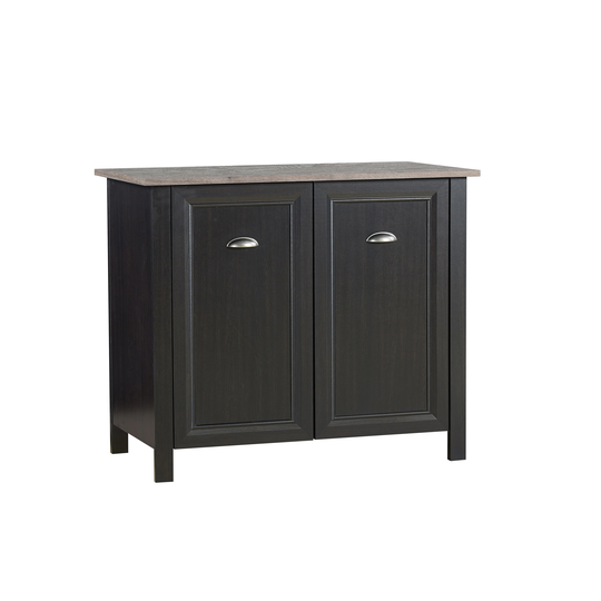 Saint Birch Ansel 2-Door Storage Cabinet
