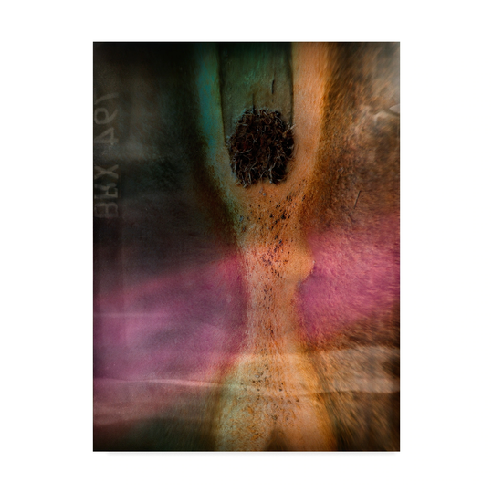 Shenshen Dou 'Health Screening' Canvas Art - Multi-color
