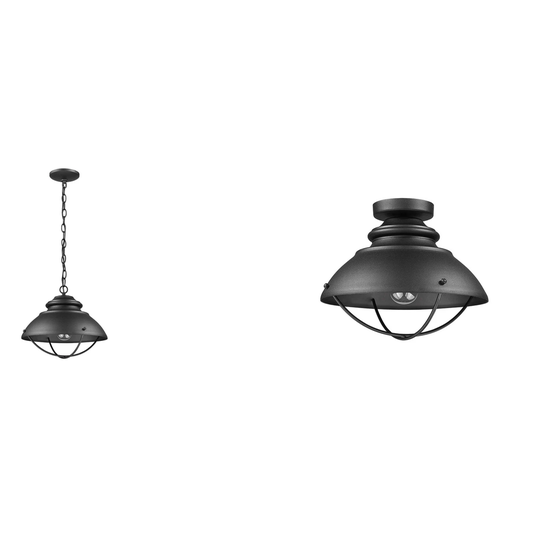 Convertible to a Pendant or Flush Outdoor Porch Light