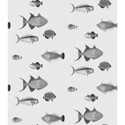 Kelsey School's Out 33' L x 20.5" W Wallpaper Roll