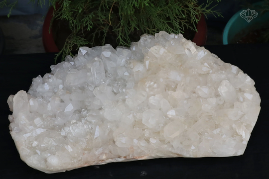 Small Pencil White Quartz Raw, Crystal Quartz, 7.980 Kg Samadhi Cluster, Healing Crystal, Whqbs 078