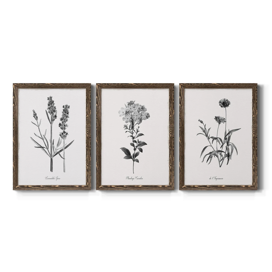 Simply Imperial-Premium Framed Canvas - Ready to Hang - Multi-Color