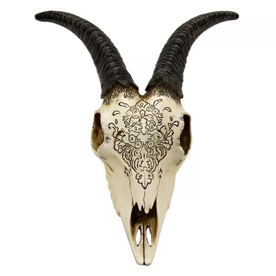 Skull Decoration Wall Décor