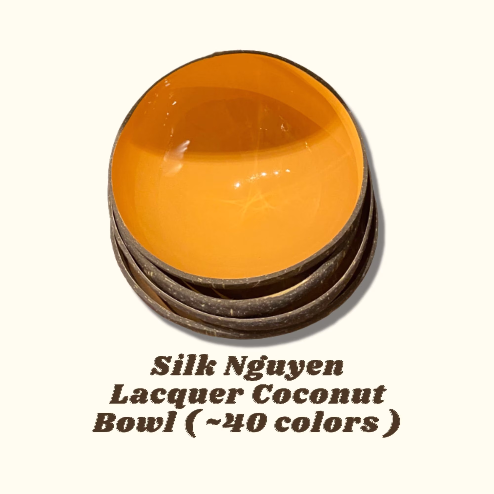 Colorful Coconut Bowl Vietnamese Lacquer 20 Colors Hand Painted Silk Nguyen Eco Friendly Vegan Christmas Gift