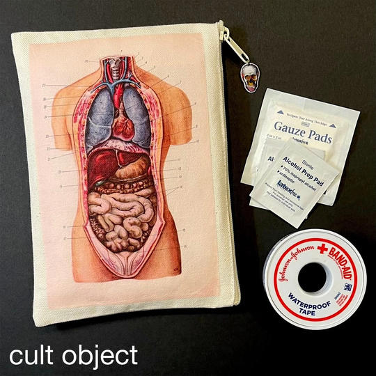 Vintage Anatomy Cotton Canvas 6" X 9" Zipper Pencil Pouch Makeup Cosmetic Travel Bag