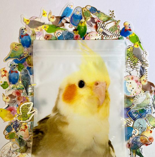 Bounty Of Birds Flake Sticker Mash Up Set 39 Or 78 Pieces, Bujo, Happy Mail, Stationery, Japanese Stickers, Parrots, Ephemera, Cockatiels