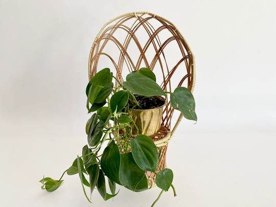 Vintage Wicker Peacock Doll Plant Chair | Miniature