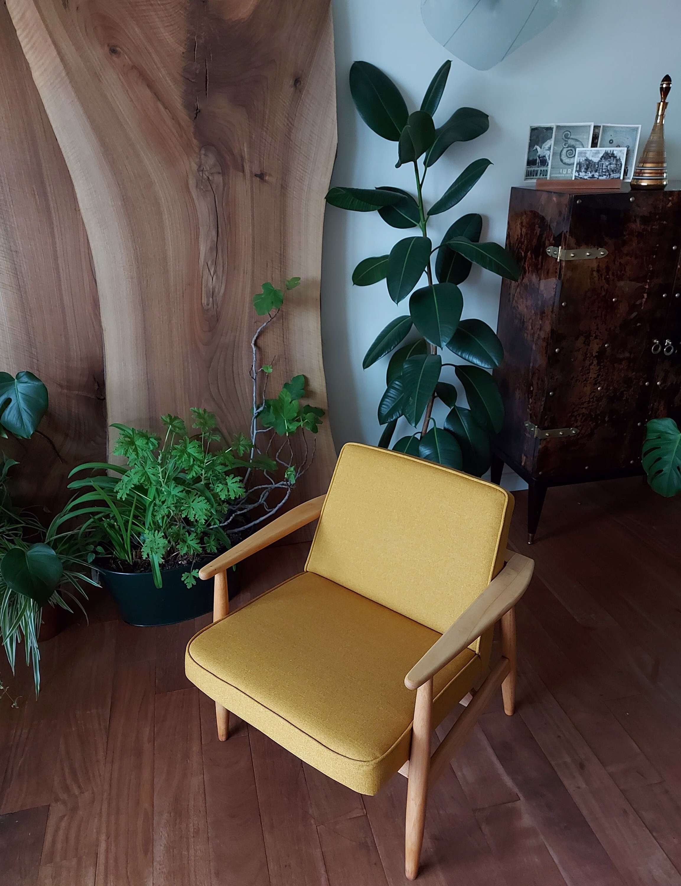 Yellow Mustard Chair, Mid Century, Classic, Solid Wood Single Sofa Chair, Recreational Armrest, Touch Of Chic
