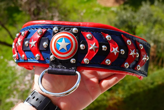 Cαptain America, Leather Dog Collar Terrier French Bulldog Handmade