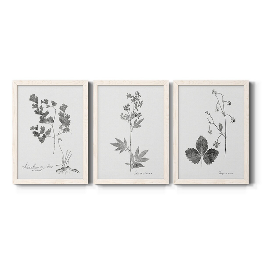 Botanical Imprint I-Premium Framed Canvas - Ready to Hang - Multi-Color